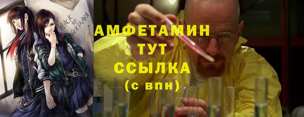 крисы Абаза