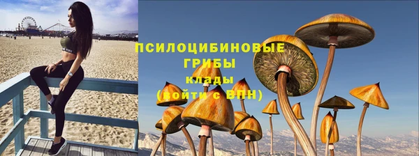 крисы Абаза