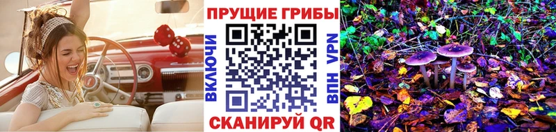 Псилоцибиновые грибы прущие грибы Заволжье